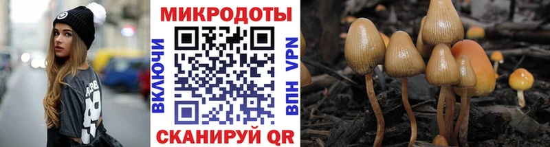 где можно купить   Сосновоборск  Галлюциногенные грибы Magic Shrooms 